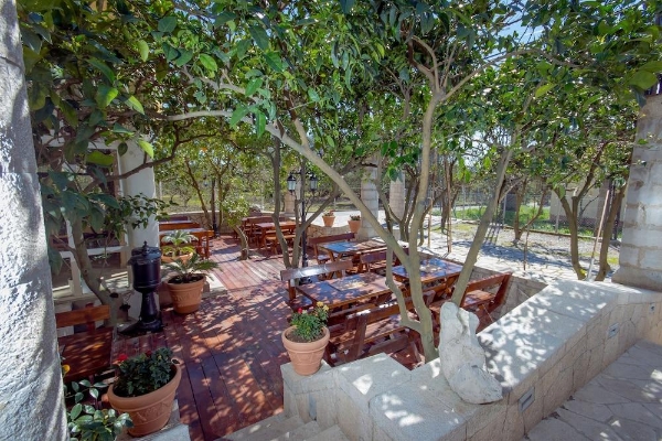 Hotel Pharos